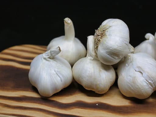 Garlic