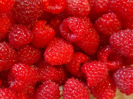 Raspberry