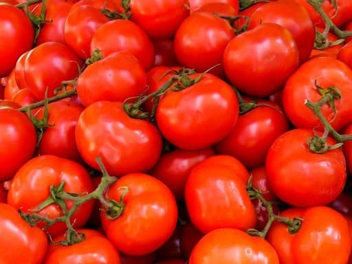 Tomato