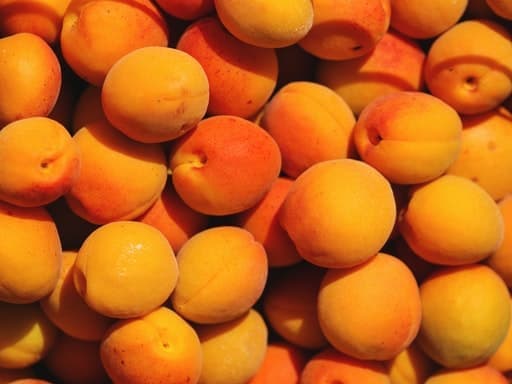 Apricot
