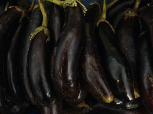 Eggplant