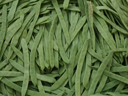 Green-bean