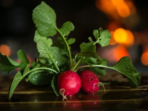 Radish